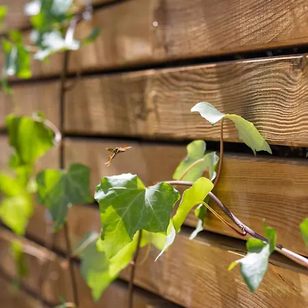 Vacation I Casa Savia, Private Pool, Luxury Interiors, 10min Walk To The Марбелья