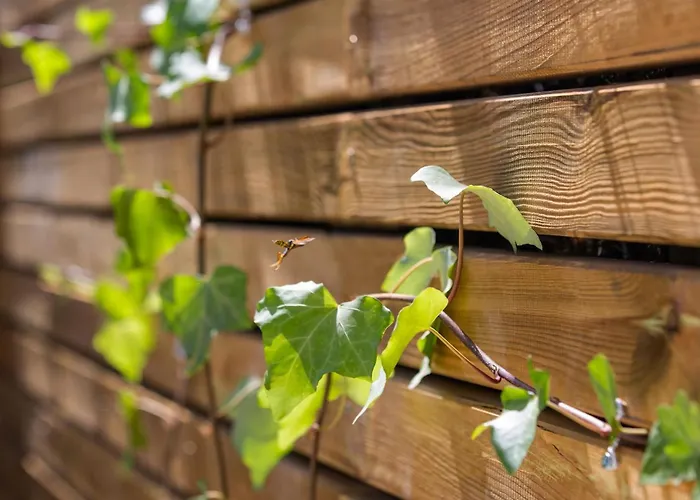 Vacation I Casa Savia, Private Pool, Luxury Interiors, 10min Walk To The Marbella